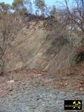 Felsklippen der Phycodes-Gruppe zwischen Berga und Oberhammer bei Gera, Ostthüringen, (D) (27) 20. Februar 2012 Ordovizium.JPG
